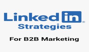 Top 5 Effective LinkedIn Strategies For B2B Marketing